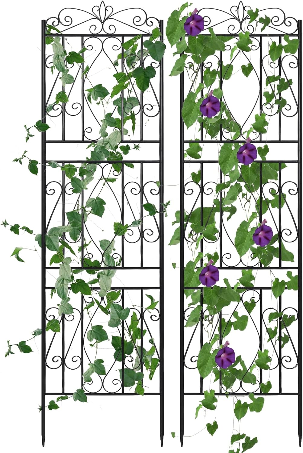 Metal Garden Trellis: 2 Pack Potted Vines Vegetables Flowers Patio Metal Wire Lattice Grid Panels Plant Climbing Stands 182Cm X 50Cm image number 3