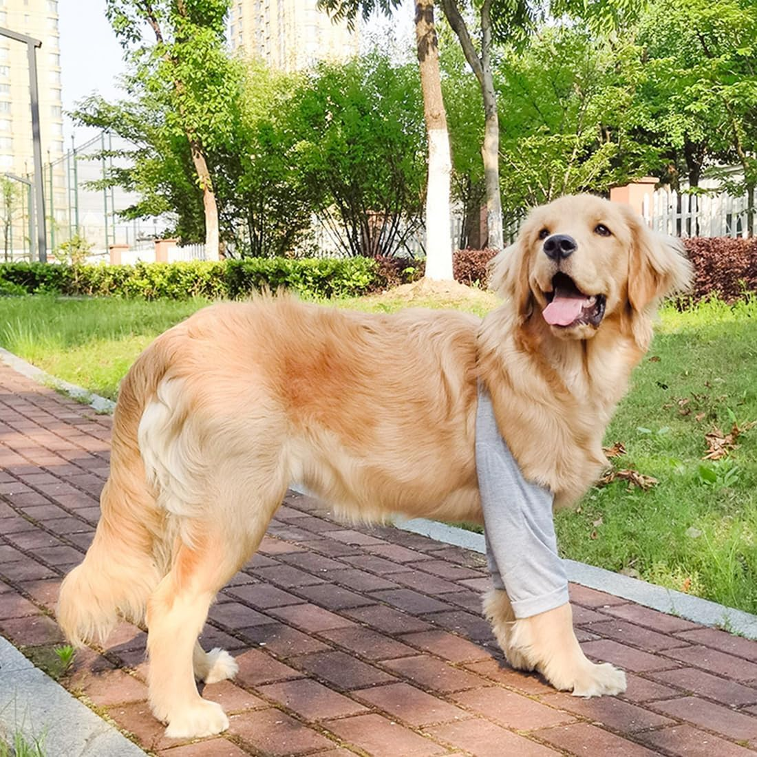 Elbow Pads for Dogs, 1 Piece Front Leg Sleeves for Dogs, Dog Elbow Bandage Protector, Dog Front Leg Pads, Elbow Bandage Protector, for Hot Spots, Wounds, Bandages, Grey, L image number 3