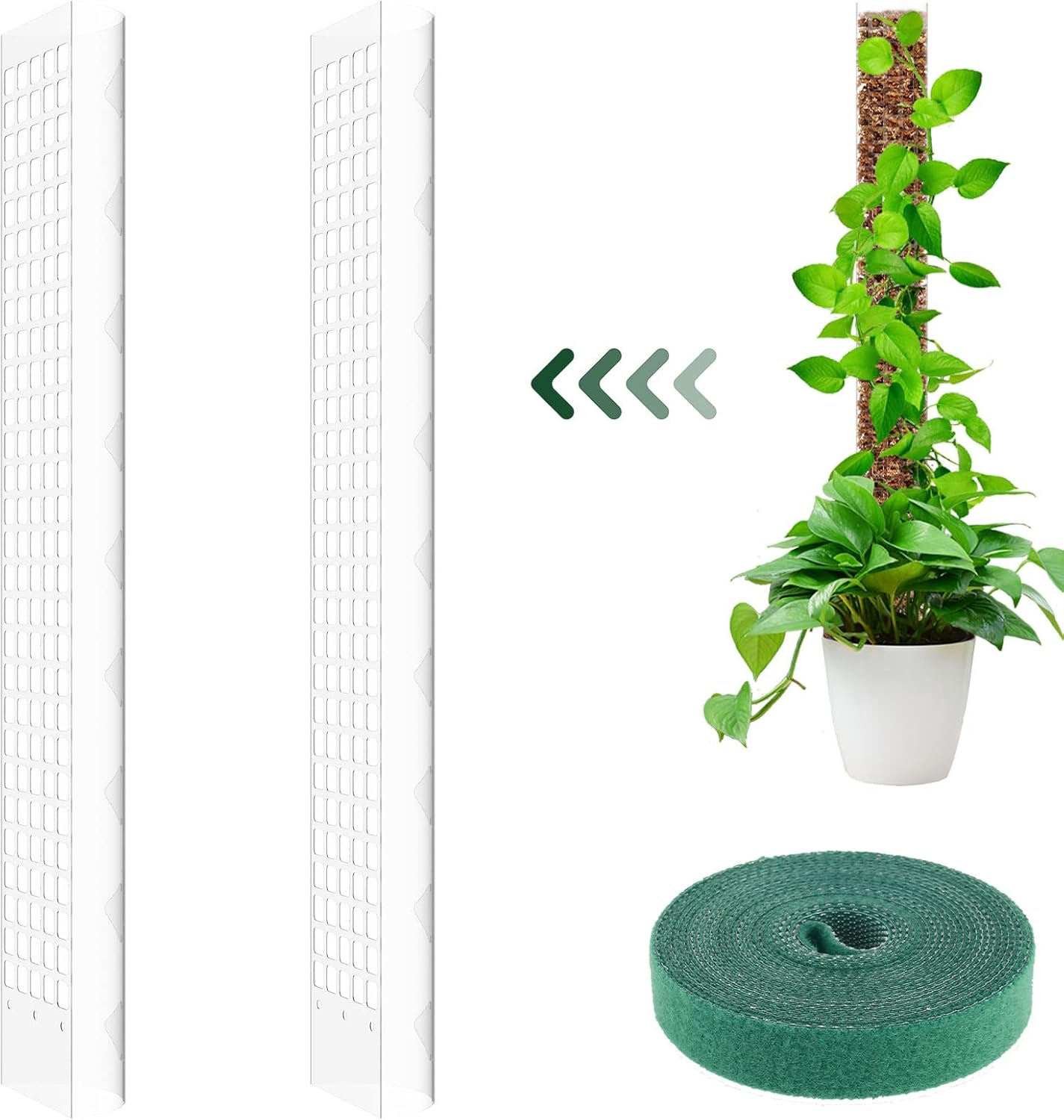 HSHGZSR 24 Inch Plastic Moss Poles Reusable Plastic Sheets for Moss Poles Hollow Self Watering Botany for Botany Monstera Semi-Cylindrical Sphagnum Moss Poles for Indoor Botany Climbing Botany (2Pcs) - 4Pcs image number 2
