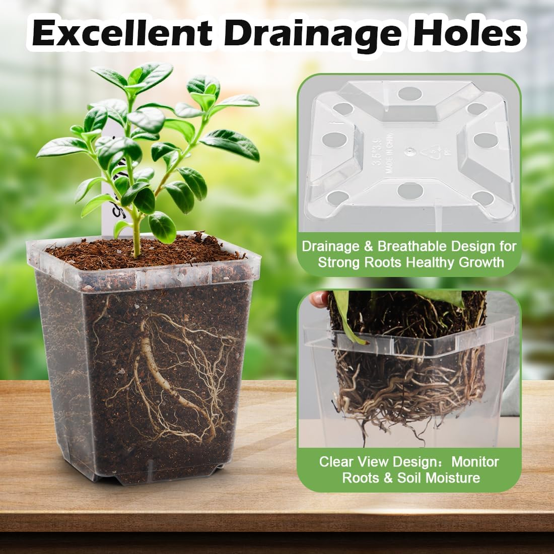 Rootrimmer 3.3 Inch Clear Nursery Pots with Drainage,90 Pack Square Seedling Pots with Plant Lables,Reusable Seed Starter Pots for Succulents Transplanting Herbs Flowers Tomato Windowsill Gardening image number 3