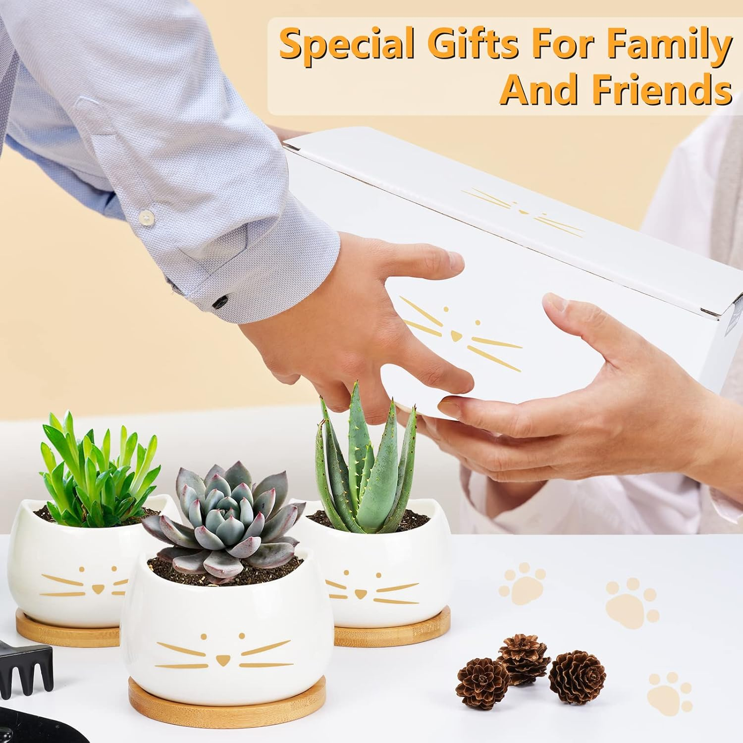 Koolkatkoo 3.2 Inch Cute Cat Ceramic Succulent Planter Pots with Removable Saucer Unique Cactus Planters Porcelain Decorative Flower Pot for Cat Lovers Set of 3 White image number 5