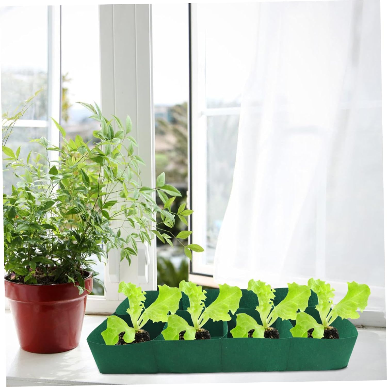 Toddmomy Felt Garden Bed Planting Holder Grow Bags for Vegetables and Herbs Nonwoven Breathable Design for Healthy Root Growth image number 2