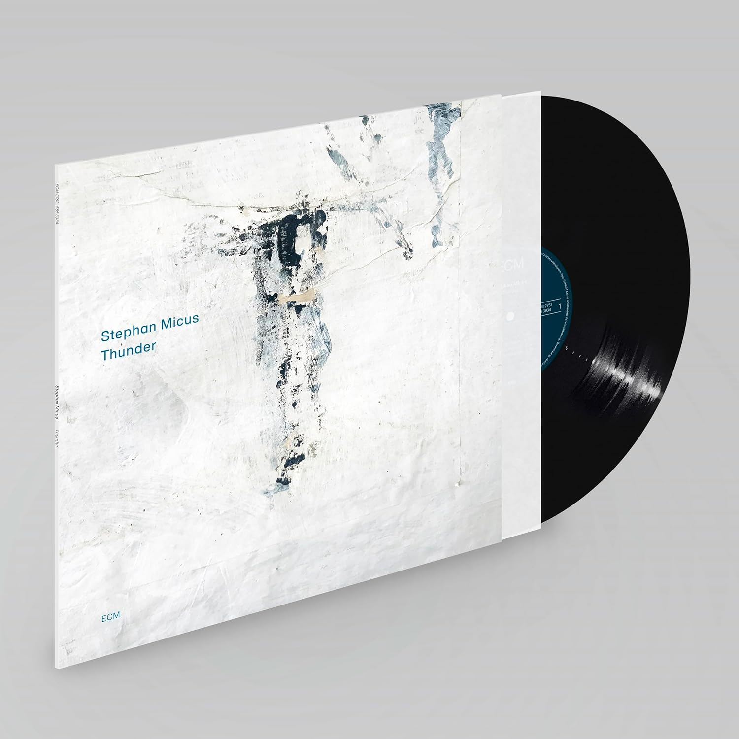 Thunder Thunder image number 2