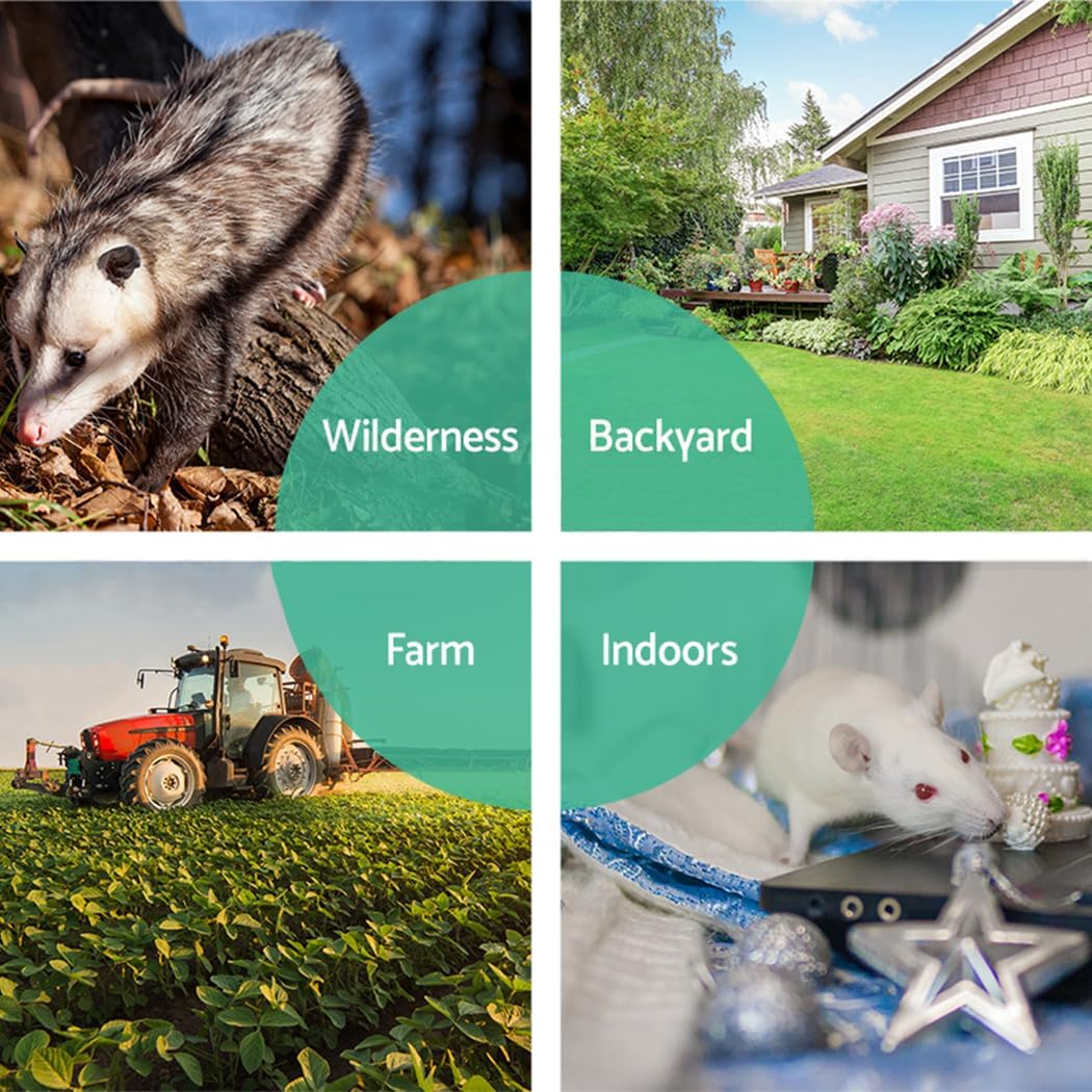 Extra Large Animal Trap Cage,Humane Live Catcher,Reusable Mice Trap Live Cage,Possum Fox Rabbit Rat Cat for Indoor and Outdoor Use (61X18X21Cm)