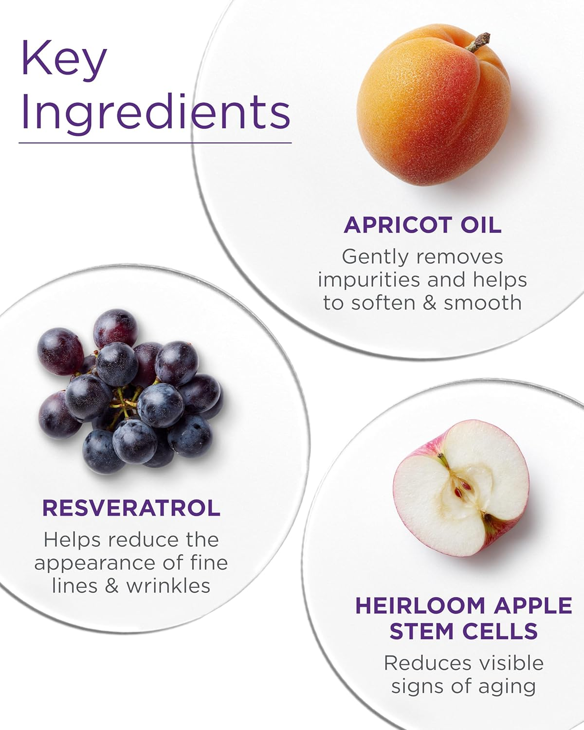 Andalou Naturals Age Defying Apricot Probiotic Cleansing Milk, 178 Ml, 6 Oz image number 2