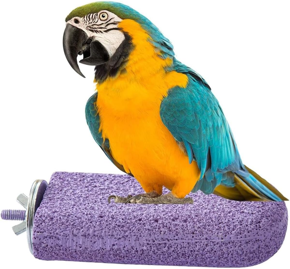 AIMALL Parrot Stand Resin Grinding Stick Ice Cream Platform Bird Perch Claw Sharpener Pink Green Purple 2.6In X 4.7In Bird Cage Accessories for Tiger Skin and Xuanfeng Parrots - Green image number 7