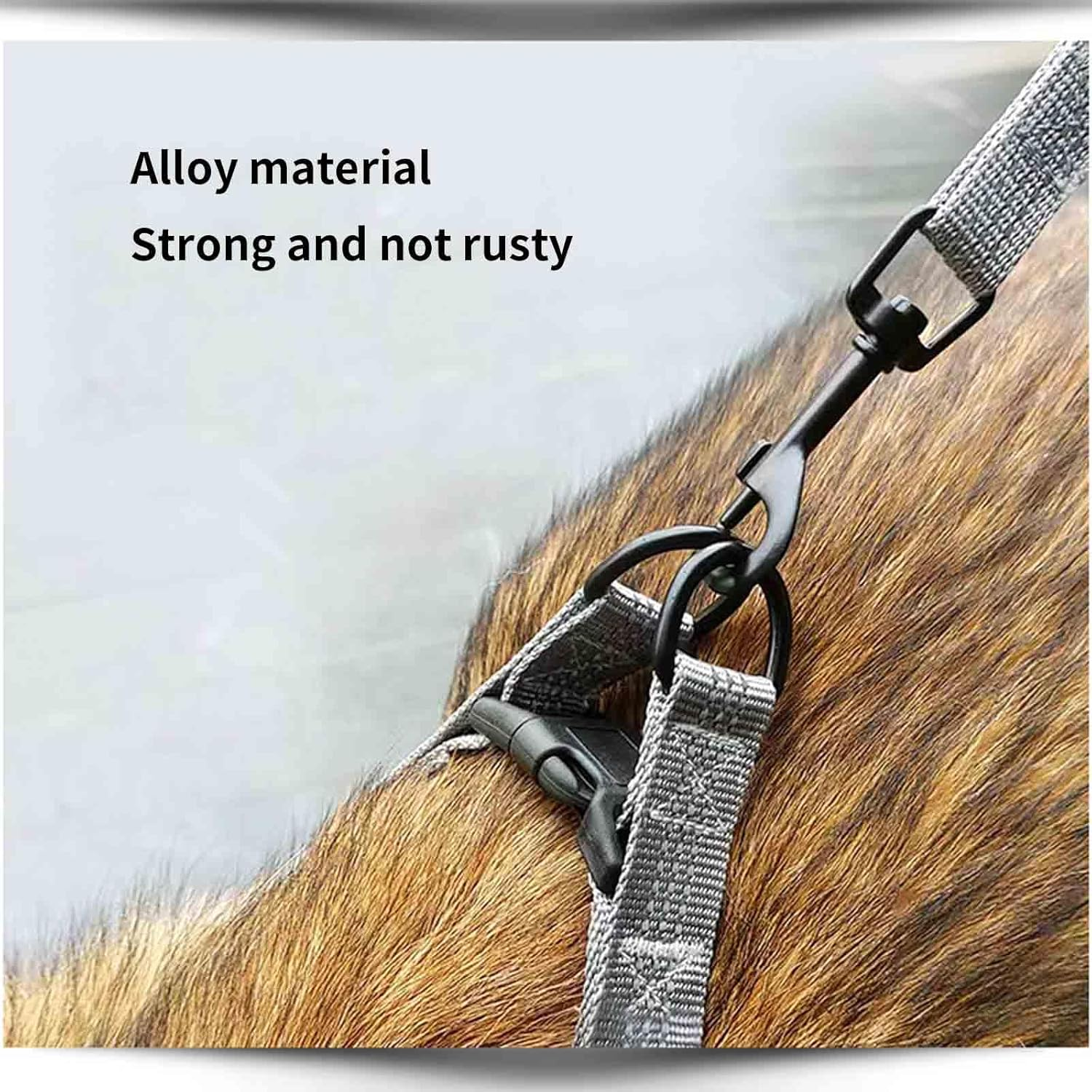 Rope Vest Harnesses Dog Lead Dog Leads Dog Leash Long with Carabiner for Small Dogs Buckle Double Ring Drawstring Hook Loop Reflective at Night Vest Type Pet Outing Alloy Buckle (M,Black) image number 4