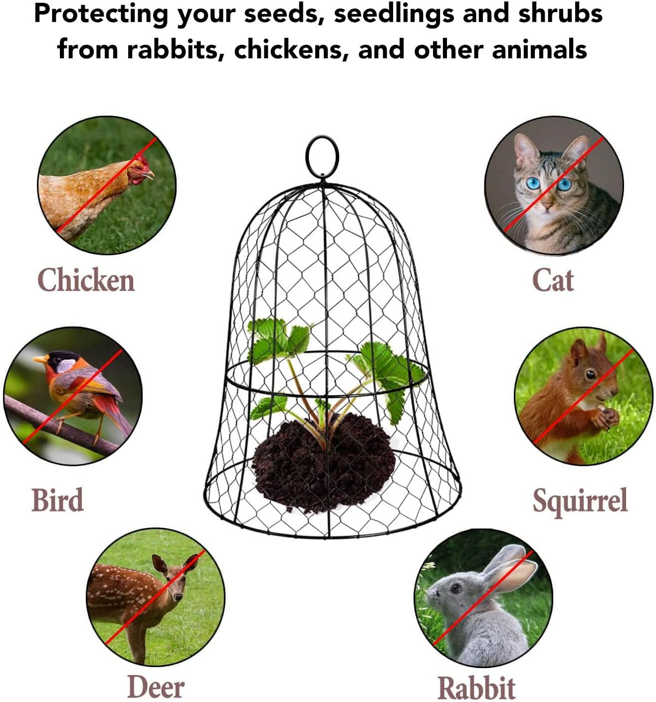 10 Packs Black Garden Chicken Wire Cloche Cover with Top Hook, Bell Shape Design, Iron Material for Effective Plant image number 4