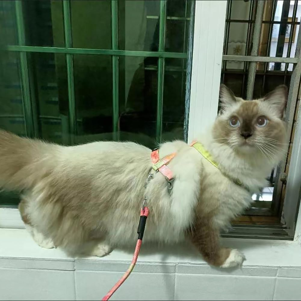 Cat Harness with Lead, Escape Proof Cat Harness Lead, Adjustable Cat Lead with Harness for Small, Medium Cats, Outdoor Walking, Colour Gradient Orange image number 2