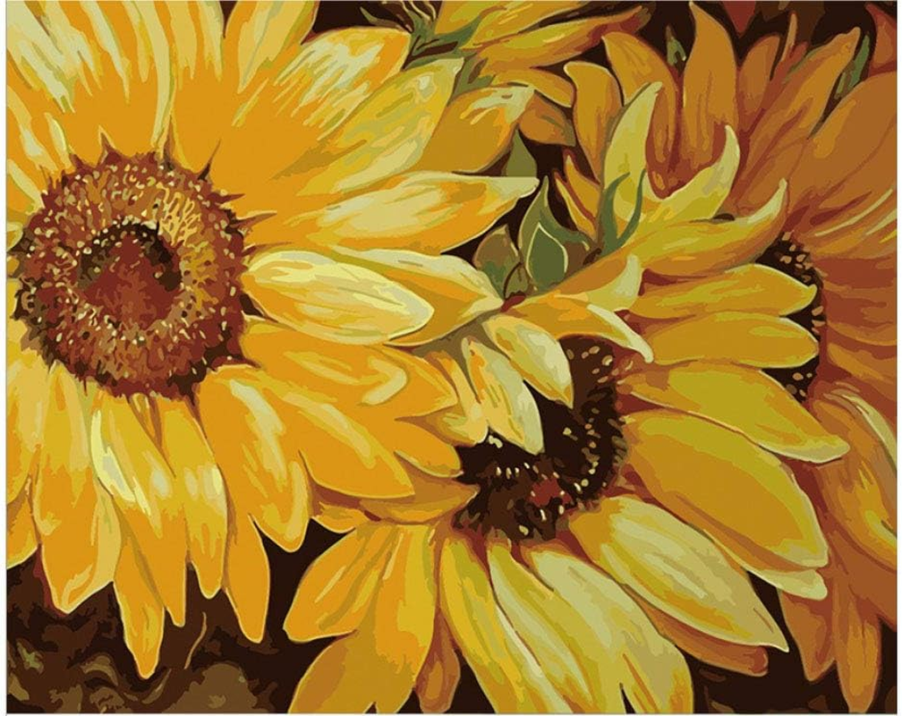 DIY Acrylic Painting Paint by Numbers Kits by Hand Colouring for Adults Kids Beginner Gifts - Opened Sunflower 16X20 Inches (Frameless) image number 6