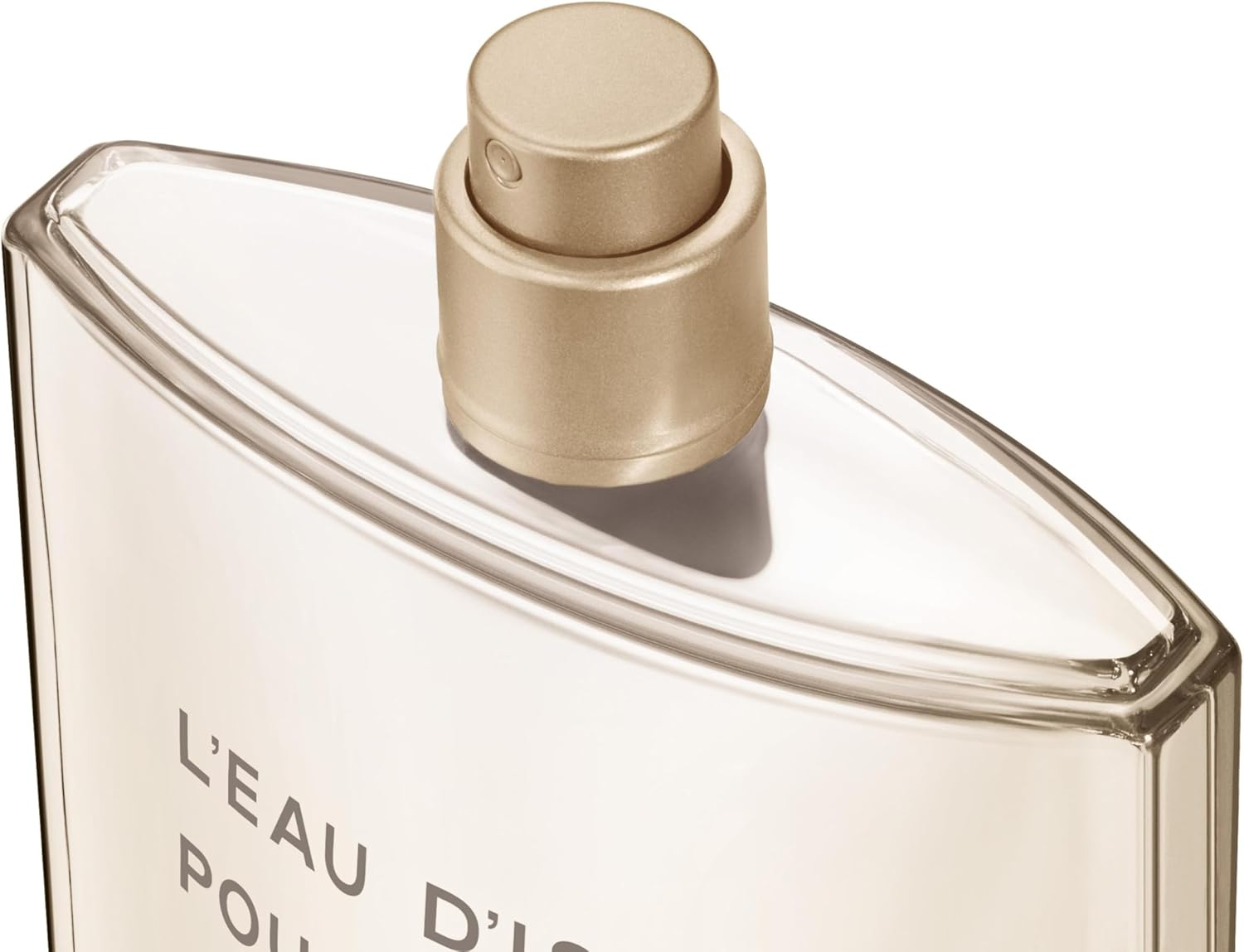 Vetiver Intense by Issey Miyake for Men - 3.3 Oz EDT Spray image number 6