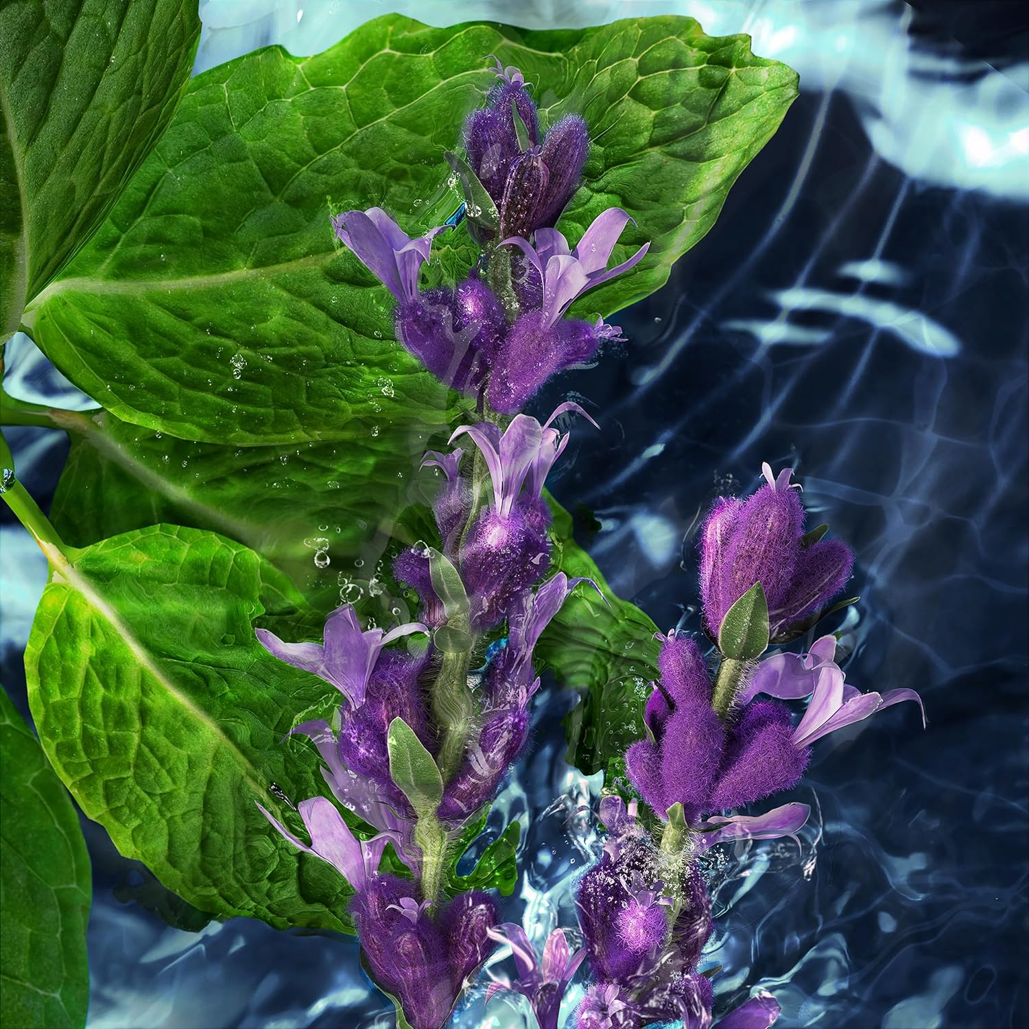 Davidoff Cool Water Spray 150Ml image number 4