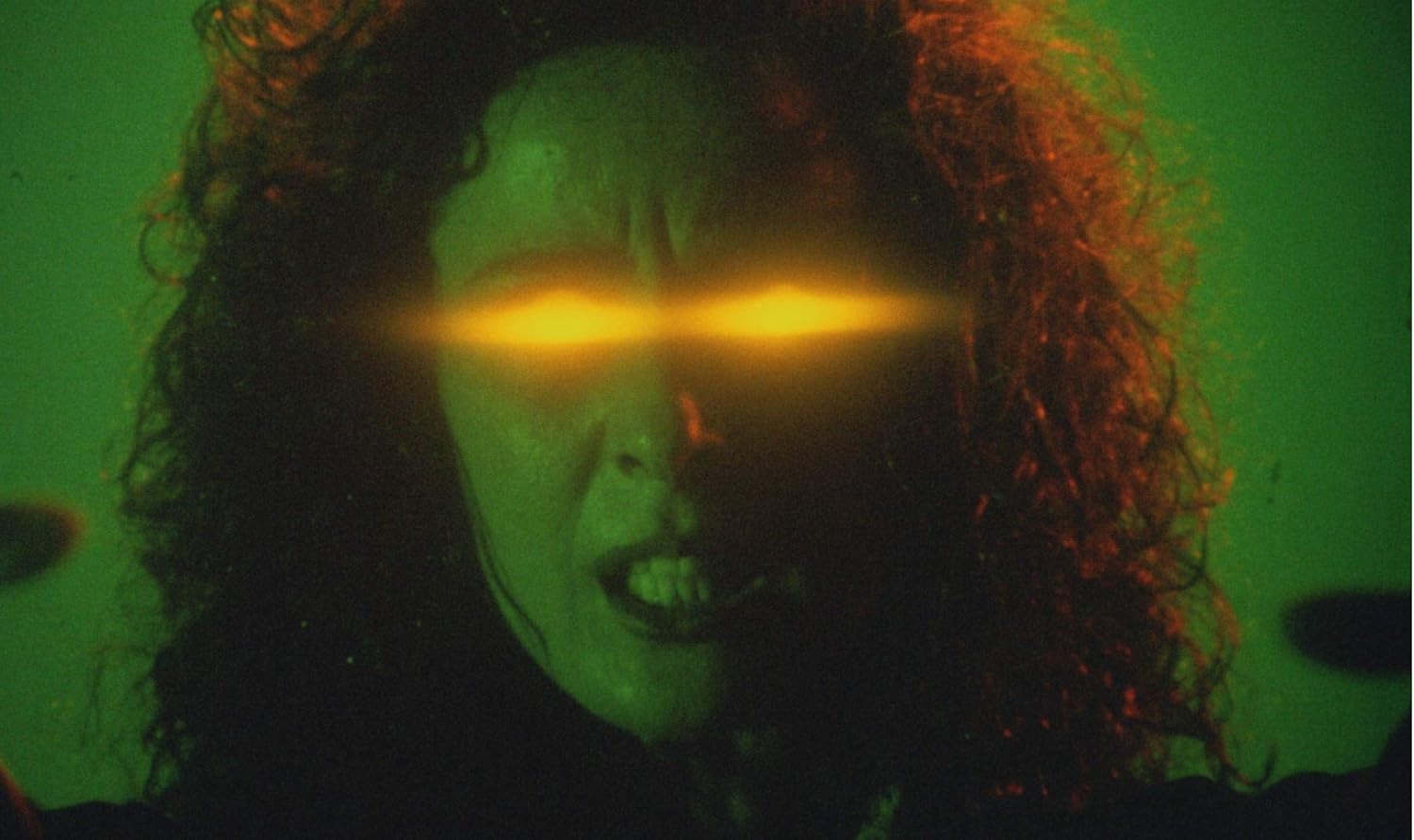 The Black Cat image number 3