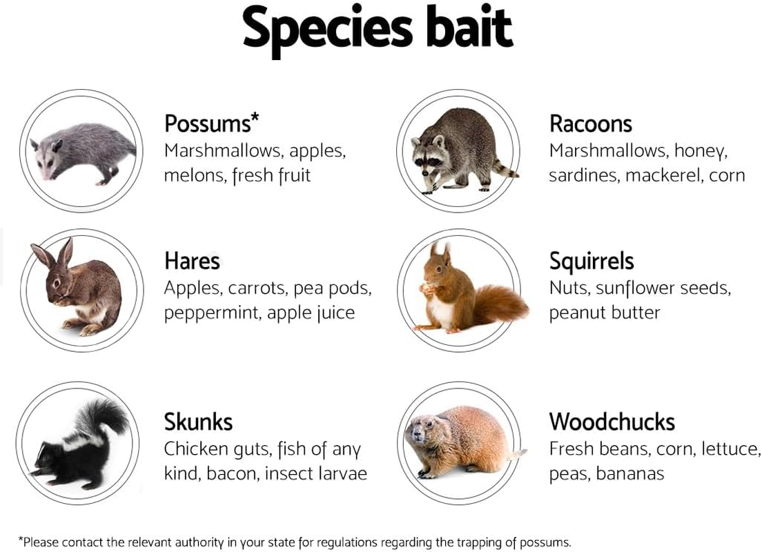 Extra Large Animal Trap Cage,Humane Live Catcher,Reusable Mice Trap Live Cage,Possum Fox Rabbit Rat Cat for Indoor and Outdoor Use (61X18X21Cm) image number 4