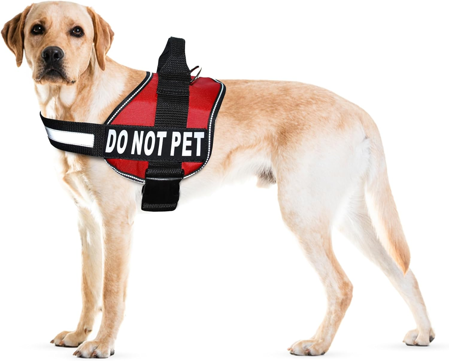 DO NOT PET Dog Vest Harness with Removable Patches and Reflective Trim. Comes with 2 DO NOT PET Reflective Removable Patches. Please Measure Dogs Girth before Purchase
