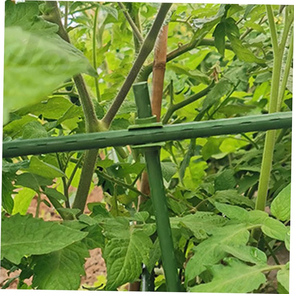 MOBUTOFU 50Pcs Sturdy Gardening Stand Accessories Clips Flower Rattan Buckle for Garden Vine Climber image number 2