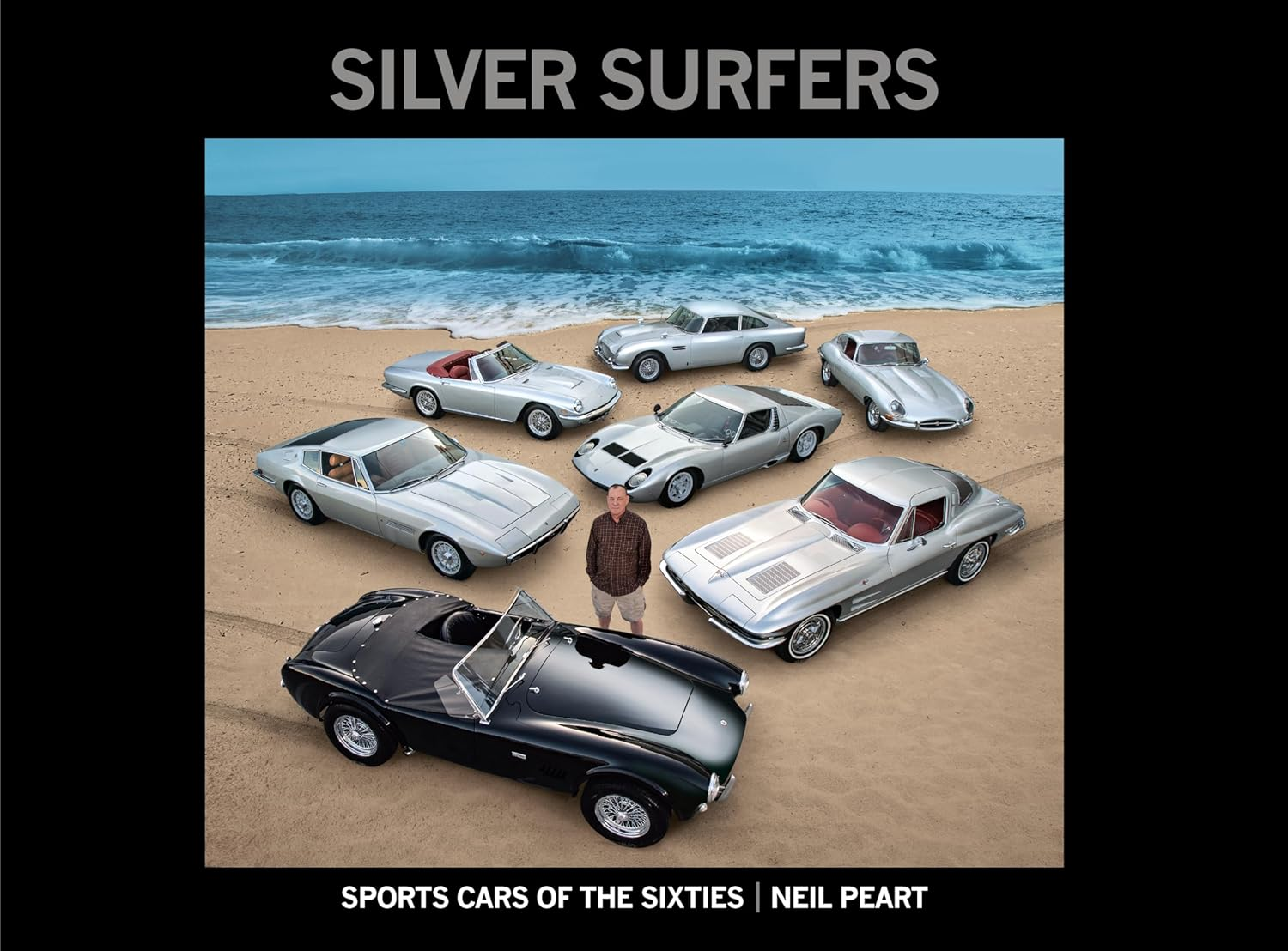 Silver Surfers image number 4