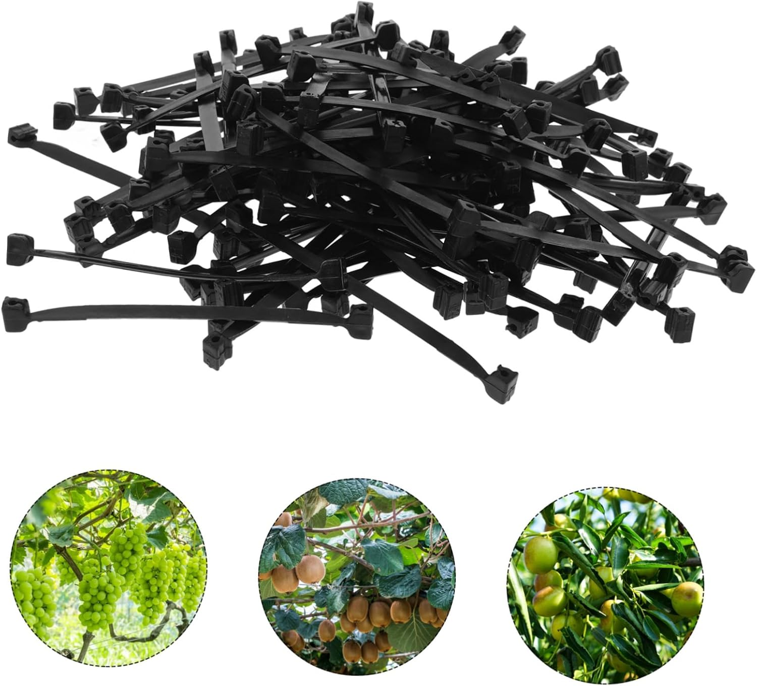 CIYODO 1Bag Plant Support Clips of Tie Branch Card Garden Supplies Plastic Clamp for Vines Fruit Tree Branch Clips image number 2