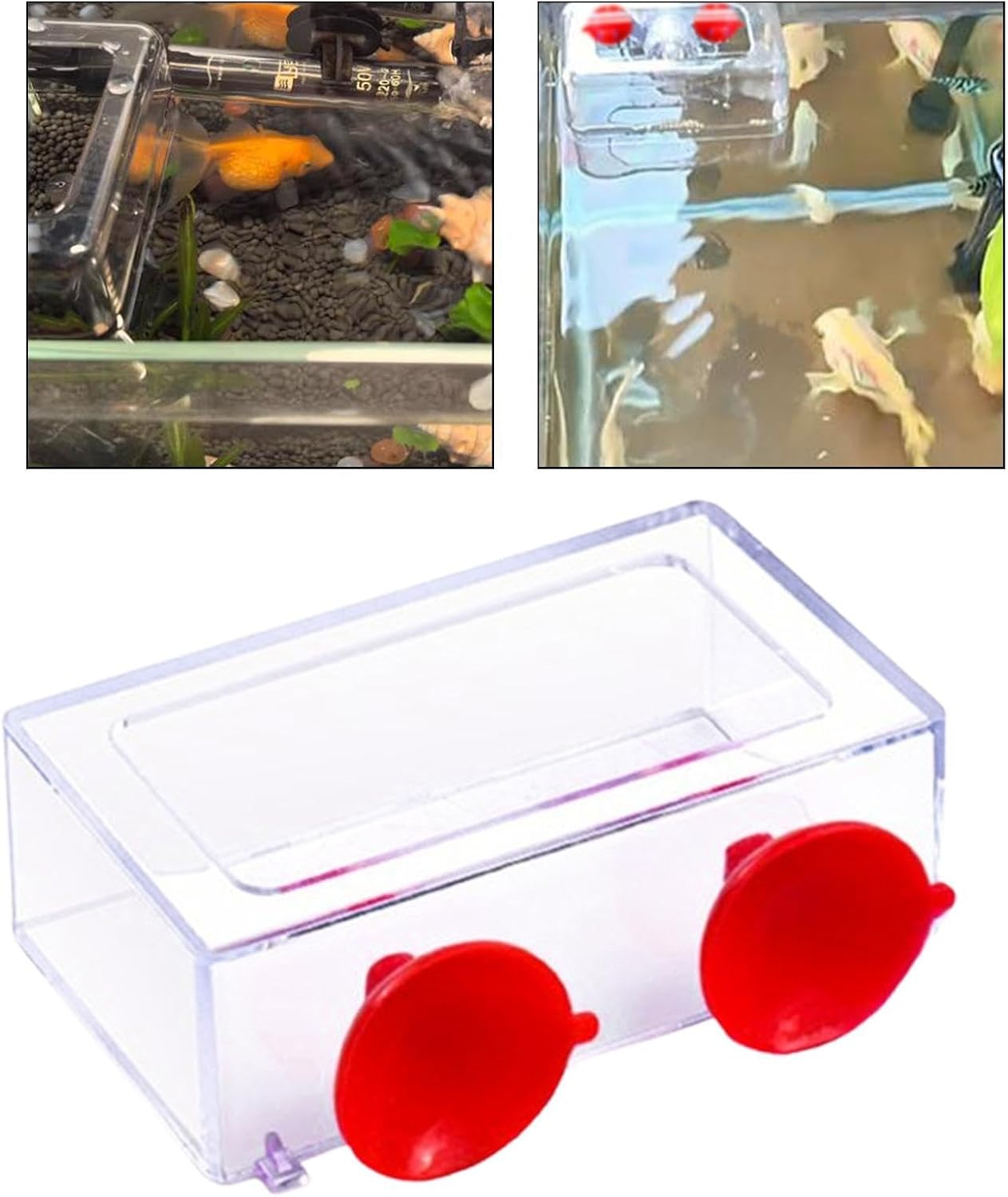 B Baosity Fish Feeding Ring Aquatic Turtle Aquarium Accessories,Turtle Feeding Ring Float Food Feeder, S image number 1