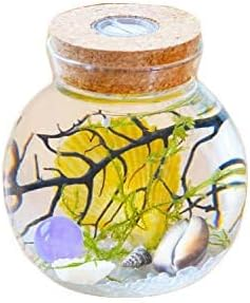 Aquarium Starter Kits Globe Fish Tank with LED Light Nightlight Lamps Mini Aquarium Kit with Java Moss (Style I)&hellip; image number 2