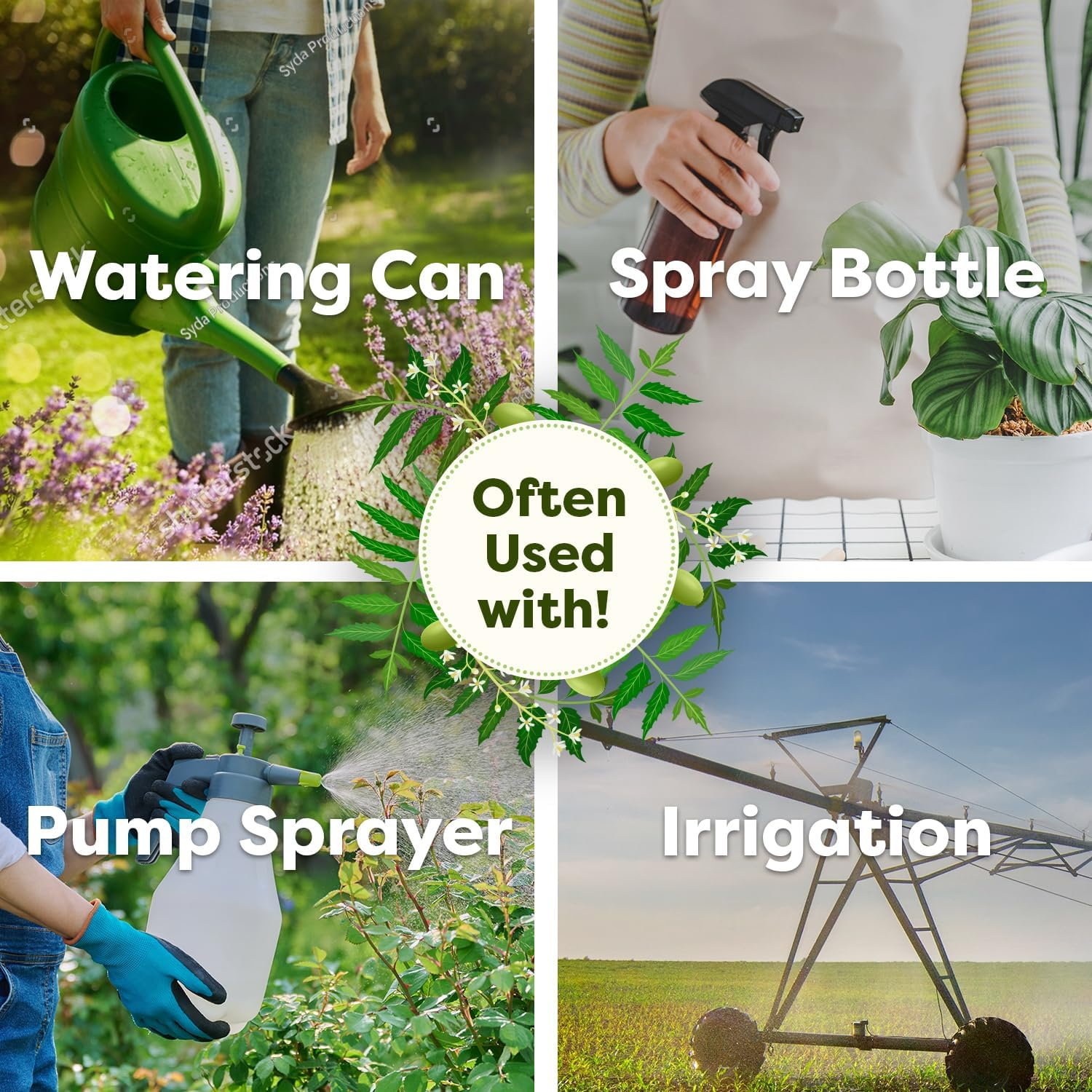 Best Naturals 100% Pure Neem Oil, 100% Cold Pressed and Unrefined - 16 OZ (1 Bottle) image number 4