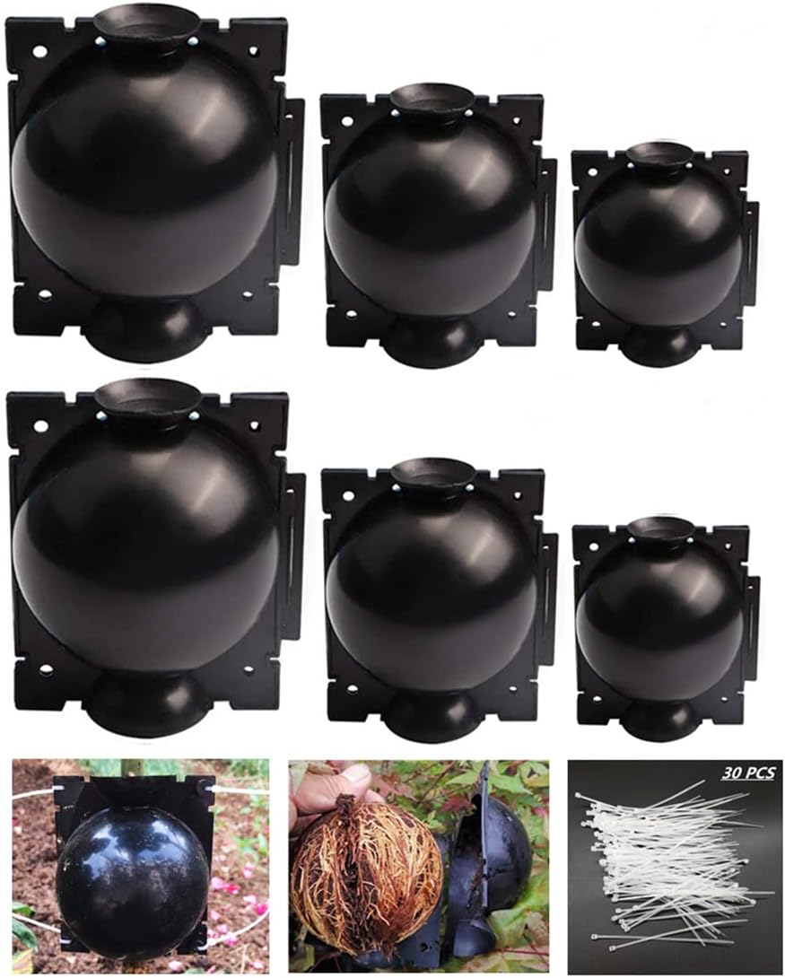 Plant Root Growing Box, Reusable Plant Rooting Device Plant Rooting Grow Box High Pressure Propagation Ball Grafting Device Botany Root Controller (Medium（3.1&Prime;&times;6Pcs）, Transparent)