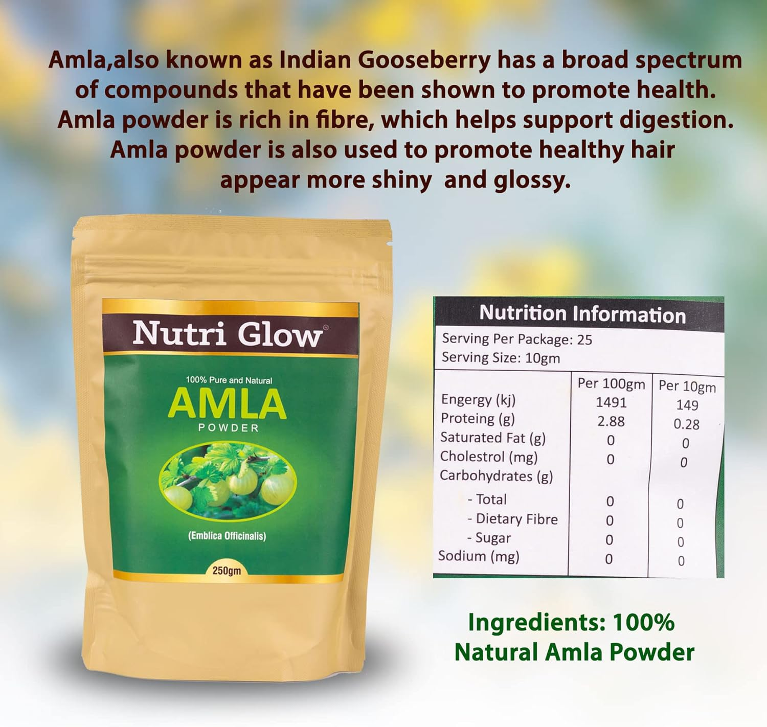 Nutri Glow | Amla Fruit Powder | 8.81 Oz (250 G) | Amalaki | Phyllanthus Emblica | Indian Gooseberry Powder | for Cooking, Smoothies, Latte, Skin & Hair Care | Resealable Air Tight Pouch image number 4