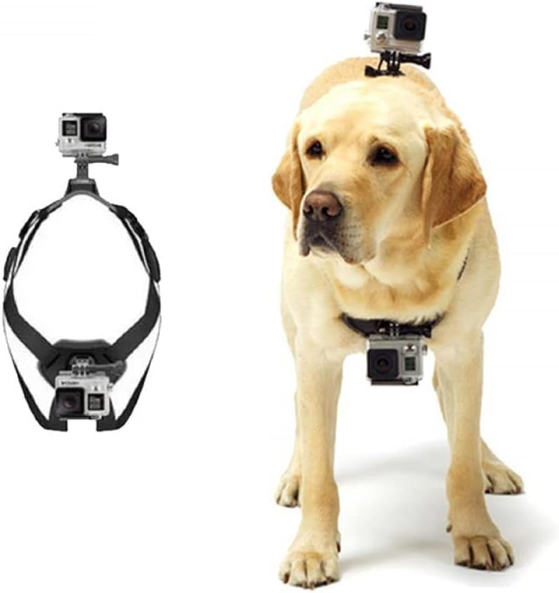 Dog Harness Gopro, Soft and Adjustable Gopro Dog Harness Mount for Large, Medium and Small Dogs Can Be Used for Chest and Back Fixation Suitable for All Models of Gopro Hero image number 2