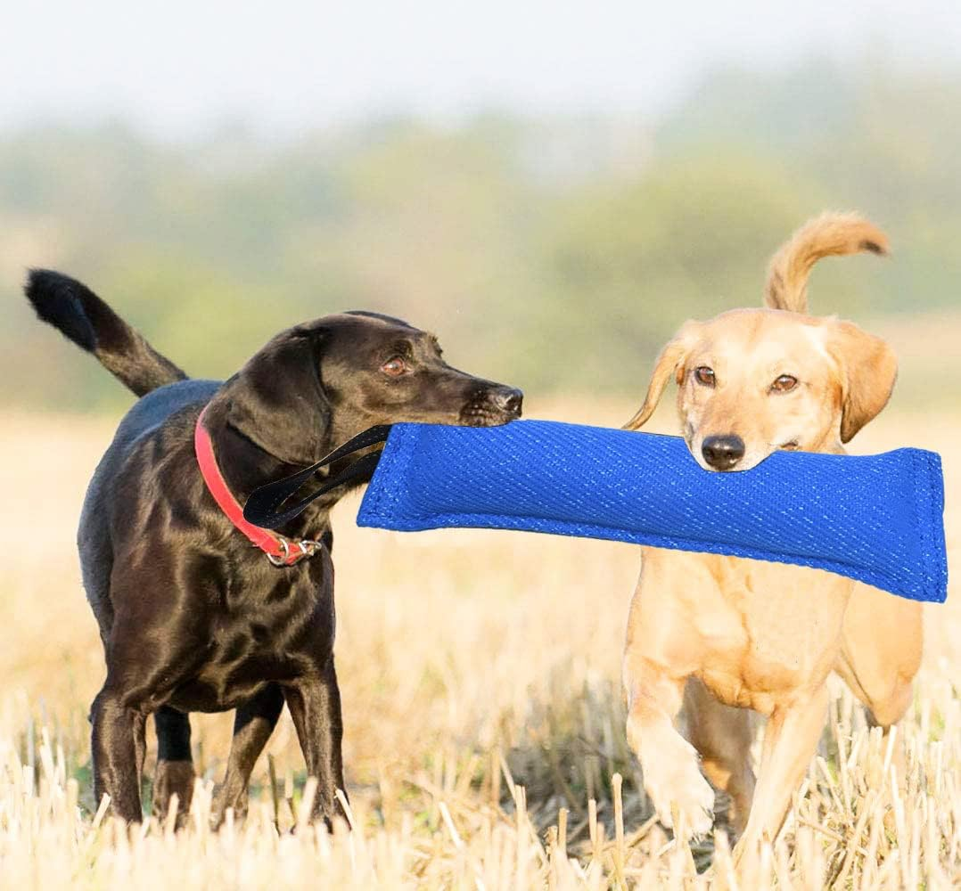Clysrou Dog Tug Toy Dog，Tough Jute Bite Pillow - Lasting, Training Equipment - Puppy to Large Dogs Interactive Toy. - Black image number 6