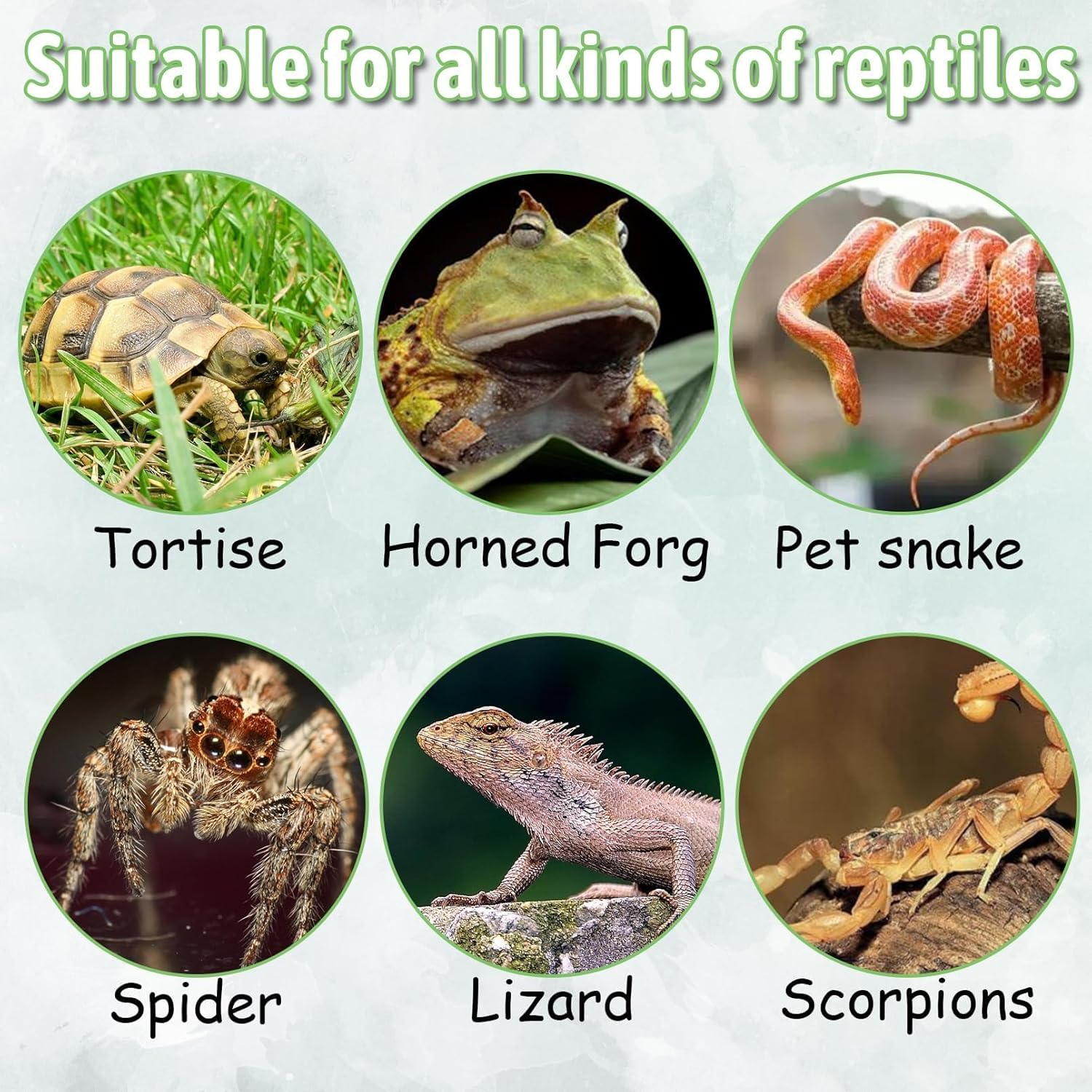 PINVNBY Resin Reptile Platform Artificial Tree Trunk Reptile Tank Decor Food Water Dish Bowl for Bearded Dragon,Lizard, Gecko, Water Frog,Snake image number 4