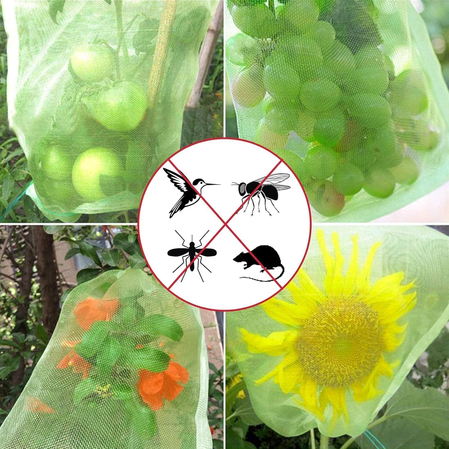 100Pcs Fruit Protection Bags 6X8 Inch,Netting Cover Bags with Drawstring,Organza Fruit Netting Bags,Garden Plant Fruit Protectors Pest Barrier Bag for Mangoes Tomatoes Fruit Trees Veggies (Green) image number 5