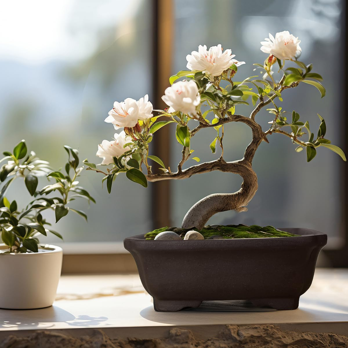 MUZHI 2PACK Unglazed 6&rdquo; Ceramic Bonsai Pot with Humidity Trays, Breathable Handmade Rectangle Bonsai Planter for Starter Bonsai Tree, Juniper,Ficus, Money Tree image number 3