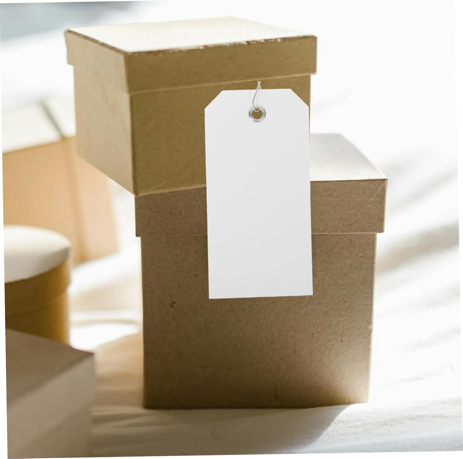 FUNOMOCYA 100Pcs Luggage Tags for Suitcases Wire Writable PVC Travel Tags String for Luggage Identification of Name image number 4