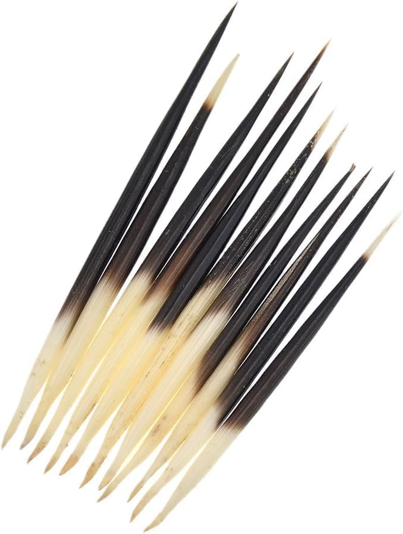 10Pcs Porcupine Quills Hair Stick Indian Crafts Accessories Fishing Buoy DIY Sewing Project Kits Arts