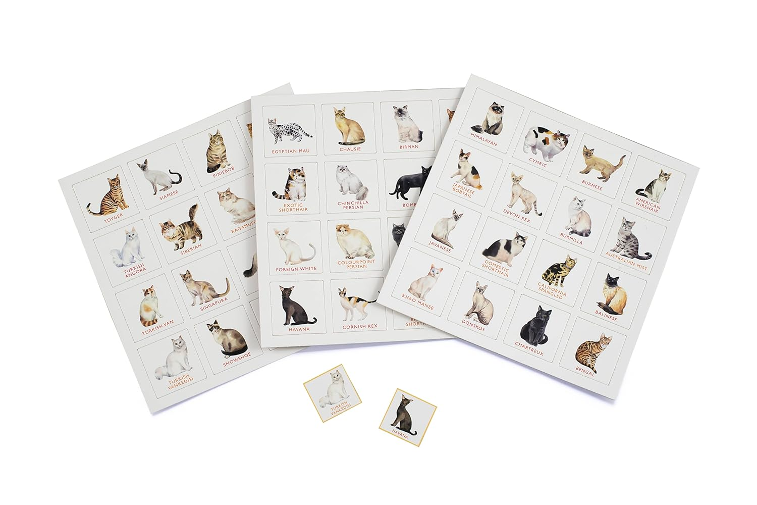 Laurence King Cat Bingo Game: 64 Breeds, Ages 6+ image number 1