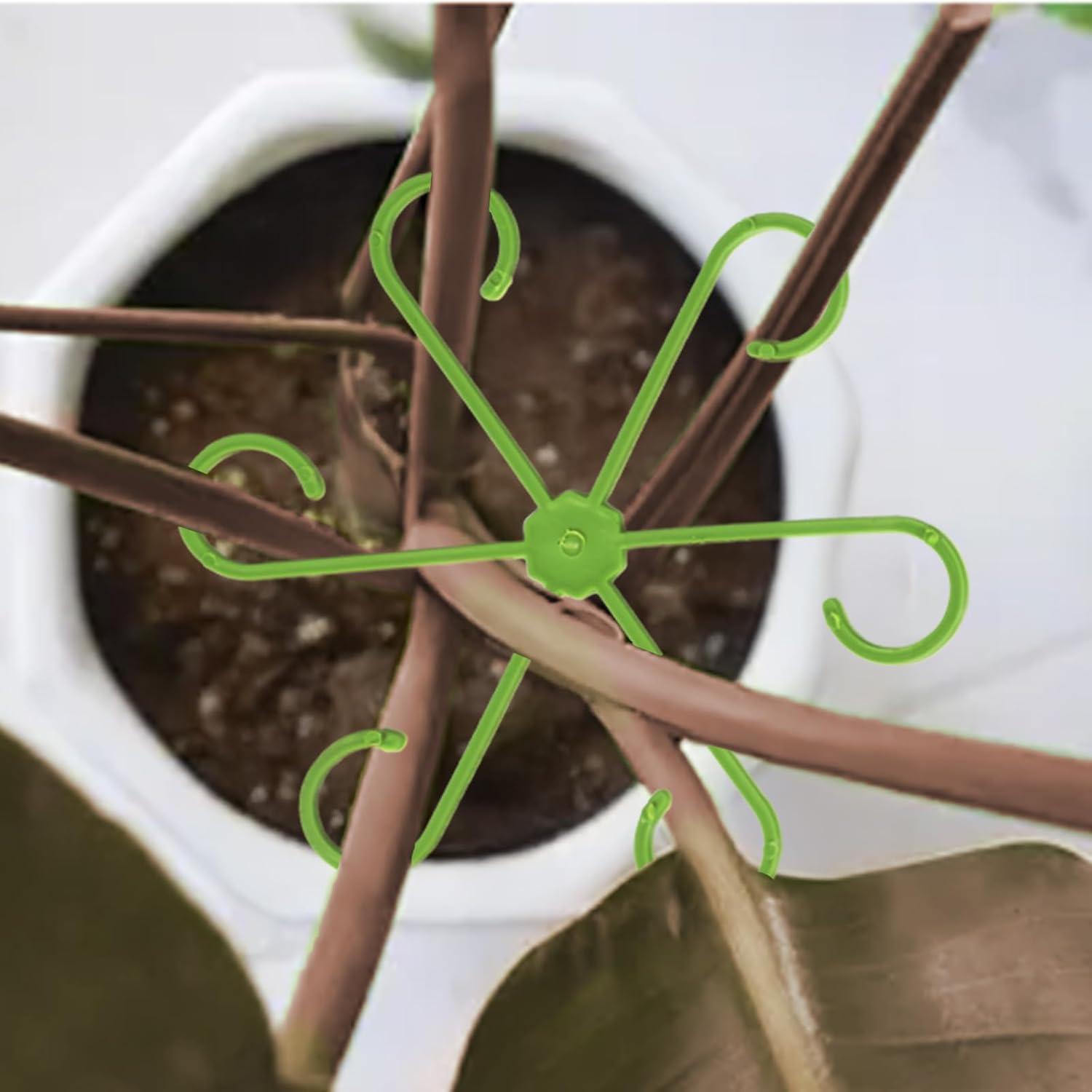 16 Pcs Plant Stem Support, Climbing Houseplant Stem Supports, Plants Holder Hook for Indoor Home Garden (Green) image number 3