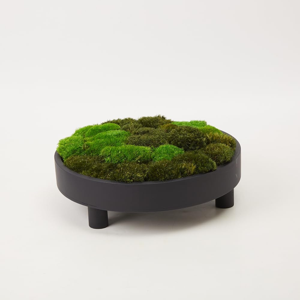 Prefleur 2 Color Mix Pack Preserved Pole Moss Pillow Bun Cushion Natural DIY Kit Art Wall Decor Florist Easter Table Wedding (1.5 Sq.Ft, Green-A, Green-B)