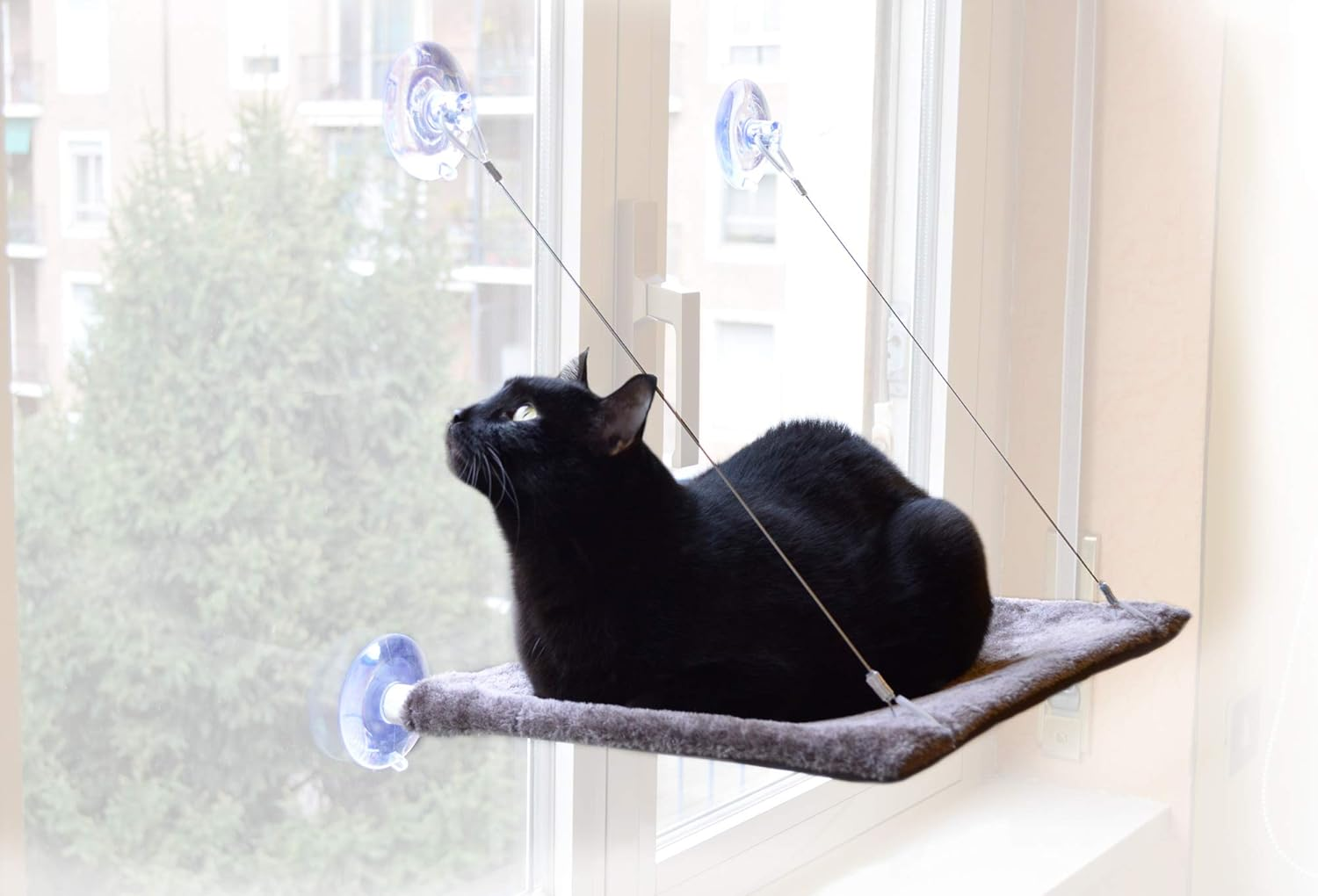 United Pet up Cat View image number 4