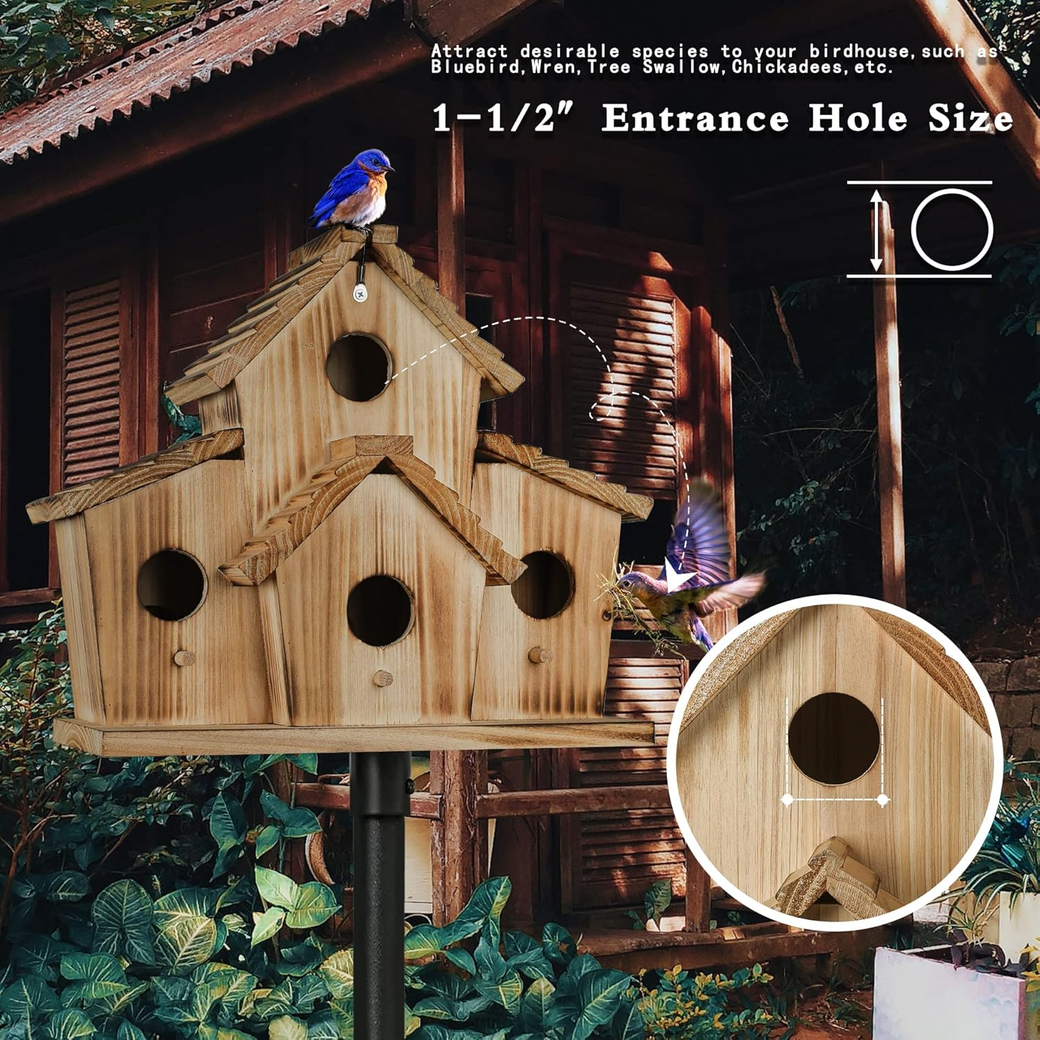 Birdhouse - Outdoor Bird House for Garden - Large Birdhouse Design for up to 4 Bird Families - Durable Hanging Birdhouses for Backyard, Patio, and Garden Decor image number 5