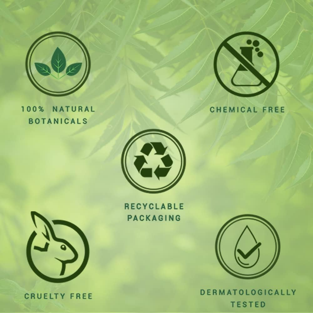 Biotique Fresh Neem anti Dandruff Shampoo with Conditioner, 650Ml image number 2