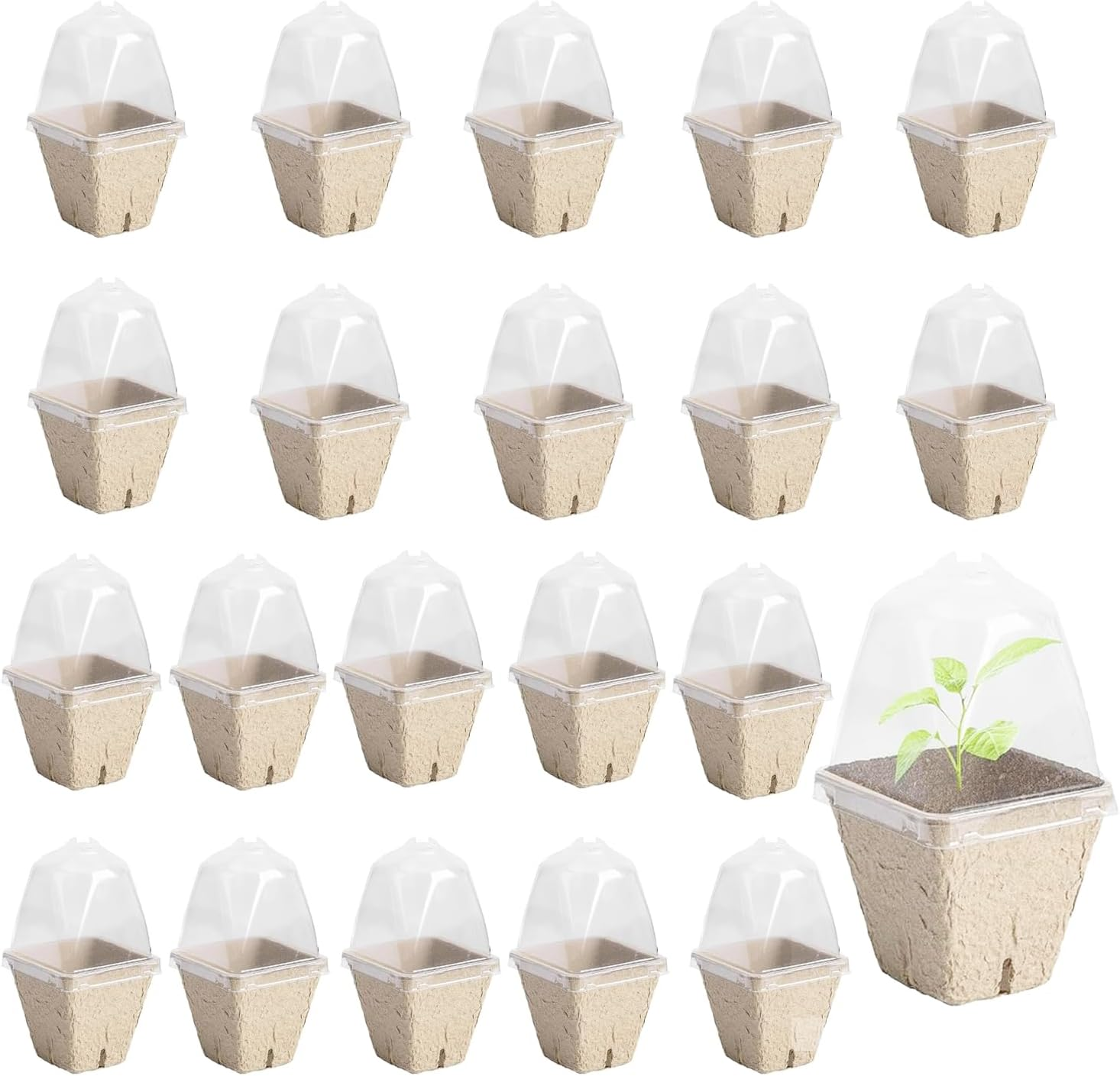 Xinghonyac 20 Pcs Seedlings Pots, Degradable Garden Germination Nursery Pot with Vent Humidity Lid, Eco-Friendly Peat Pots, Square Seed Starter Pots for Plants, Flowers, Vegetables (8Cm)
