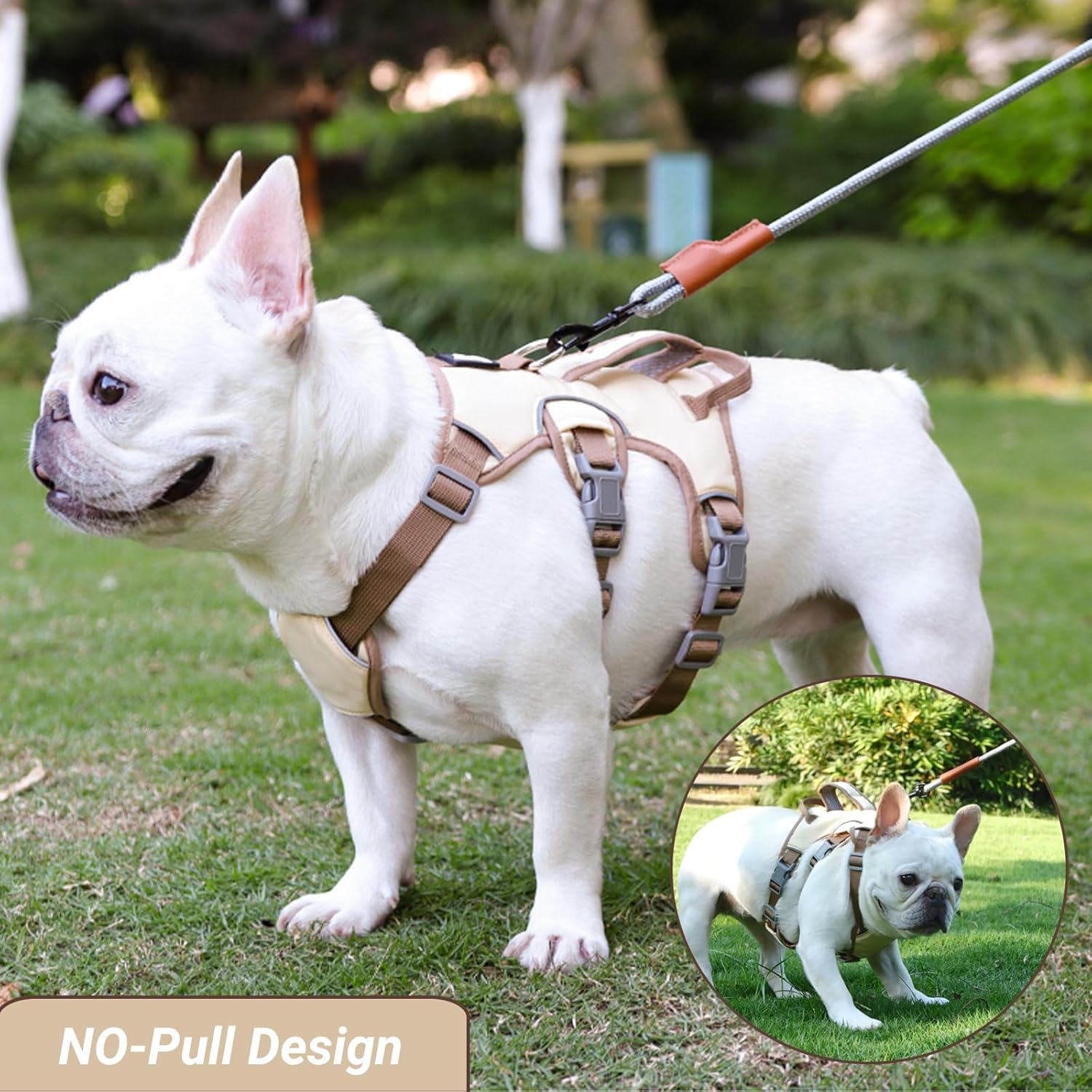 Liebedd Dog Harness for Small, Medium Dogs, Puppies Harness, Anti-Pull Harness, Dog Safety Harness, Escape Proof, Panic Harness for Dogs, Pull Harness, Dog, Beige, M