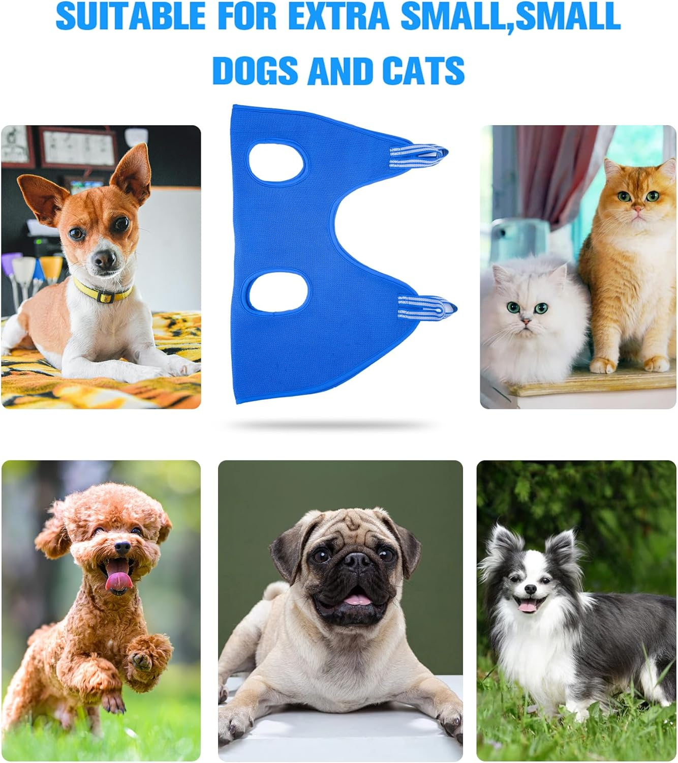 Kkiimatt 10 in 1 Pet Grooming Hammock Harness with Nail Clippers/Trimmer, Cat&Dog Nail Clipper Hammock, Cat&Dog Grooming Sling for Small Animals Nail Trimming/Clipping (Xxs/Under 10Lb Blue) image number 1