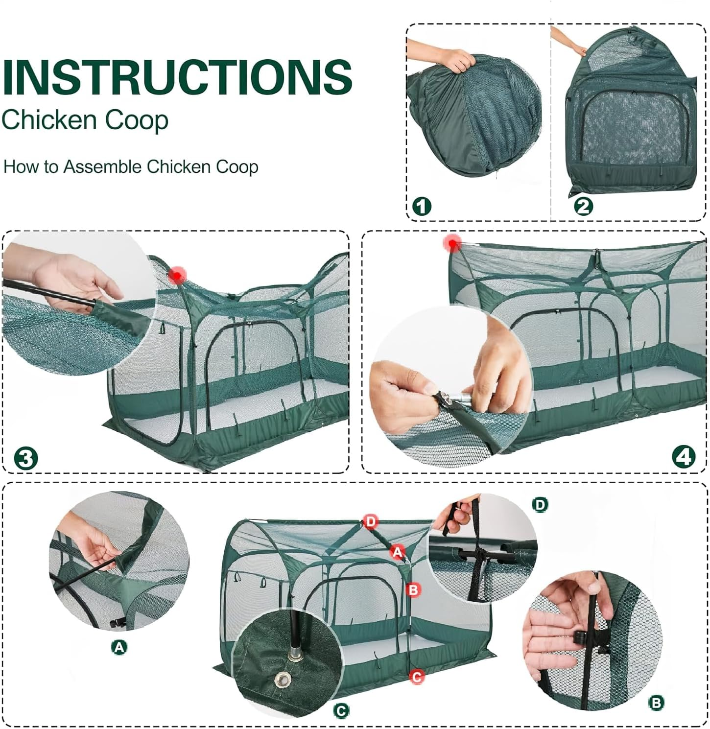 Maze Pop up Chicken Run image number 2