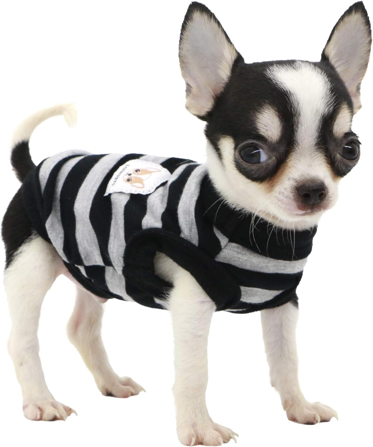 LOPHIPETS 100% Cotton Striped Dog Shirts for Small Dogs Chihuahua Puppy Clothes Tank Vest-Black and Gray Strips/Xxs image number 1