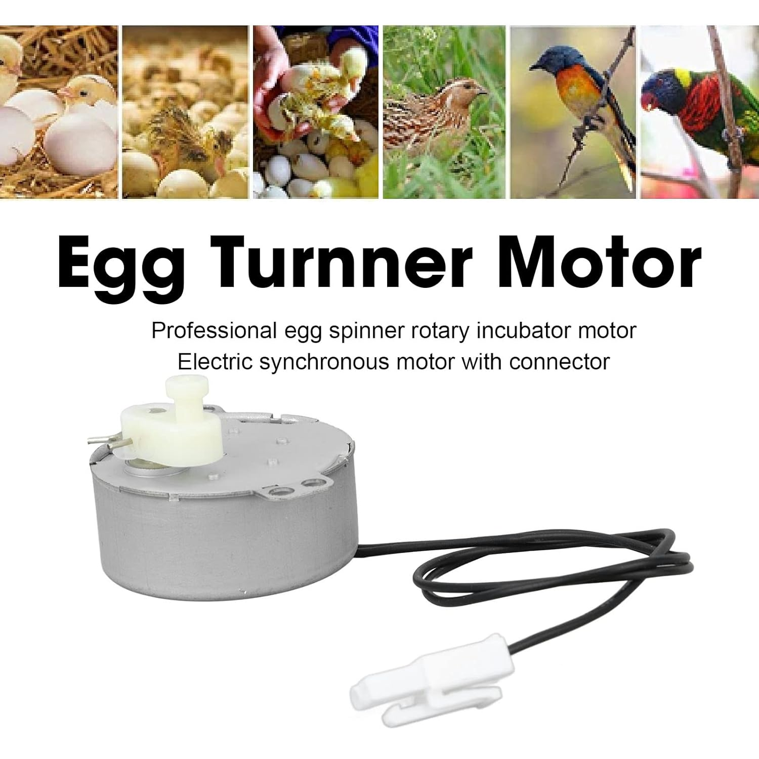 Jerliflyer Egg Tray Turning Motor for Incubators,4W Egg Turner Rotator Motor Tool (220-240V) image number 3