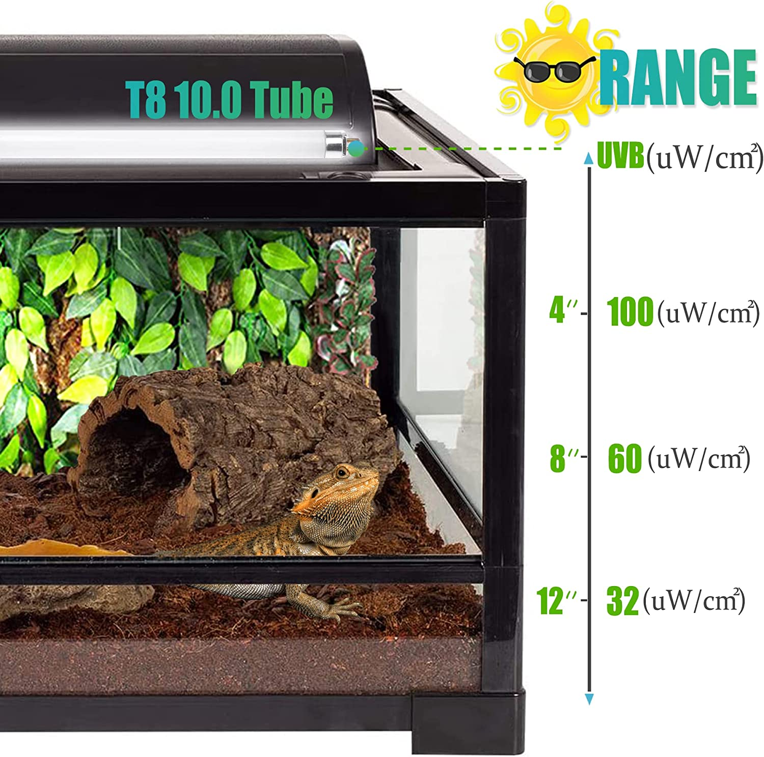 T8 Desert Terrarium Fluorescent Lamp Tube 18" Full Spectrum UVB Bulb, Dual-Threat UVA/UVB 10.0 Reptile Light for Reptiles and Amphibian, 15 Watt image number 3