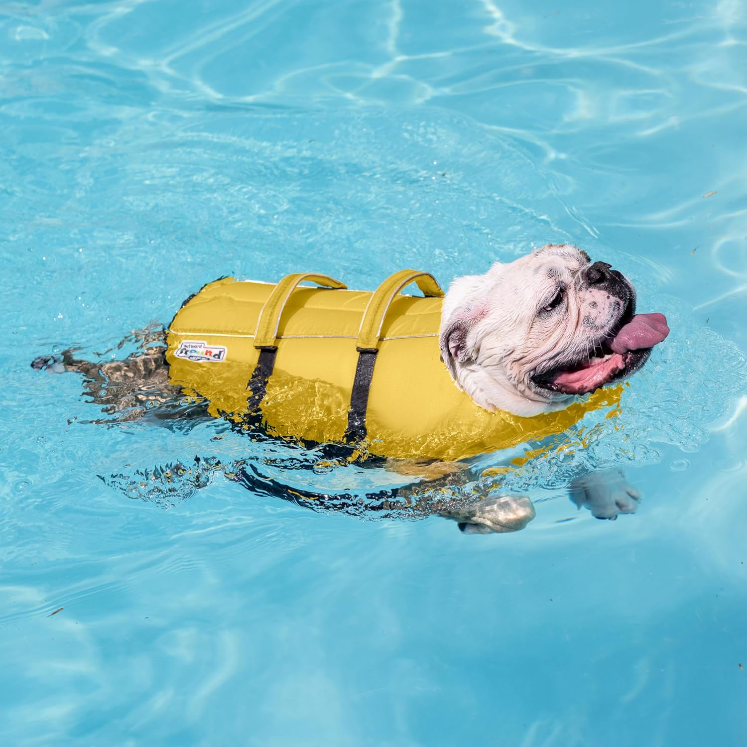 Outward Hound Granby Splash Yellow Dog Life Jacket, Medium image number 1