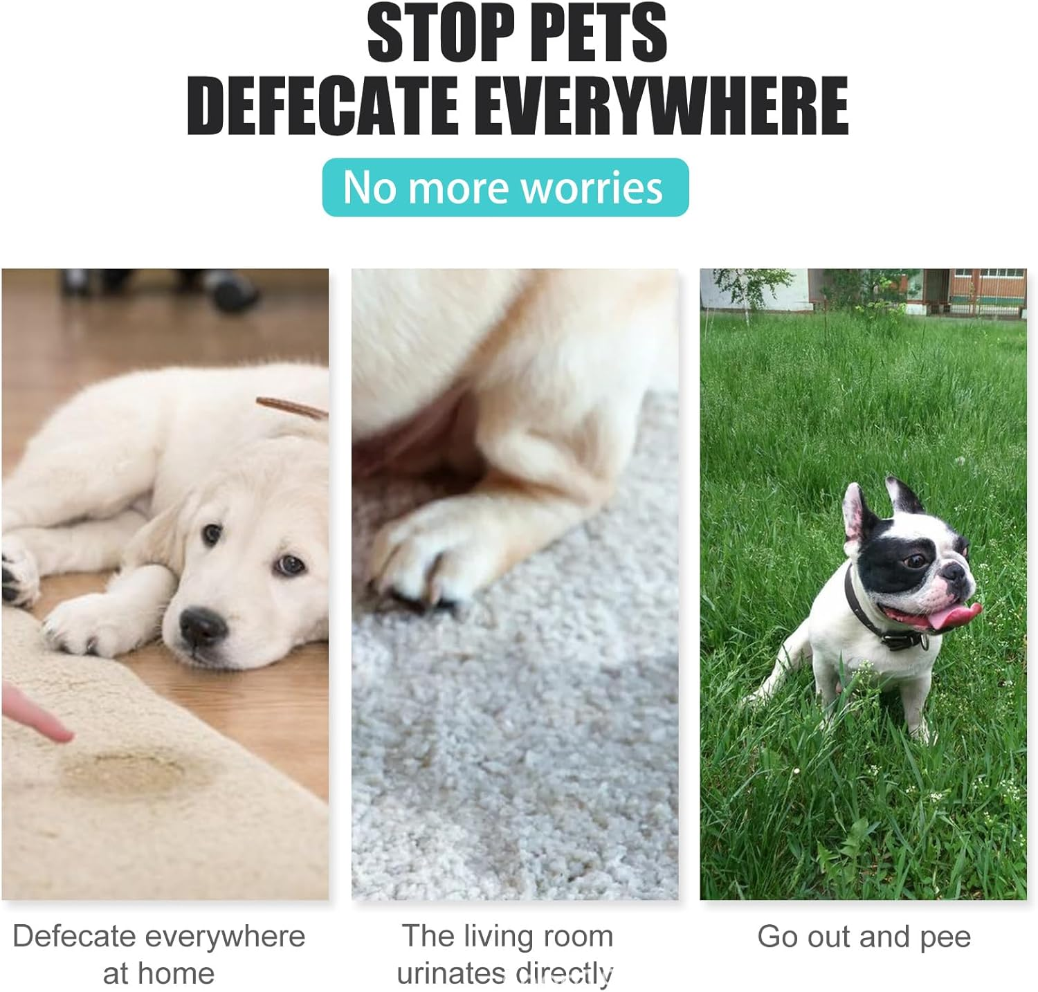 Dog Potty Training, Potty Training Spray for Dogs, Dog Pee Spray Training, Attractant Spray for Dogs Helps, Dog Toilets Training Aid for Indoor and Outdoor Use, Potty Here Training Spray image number 6