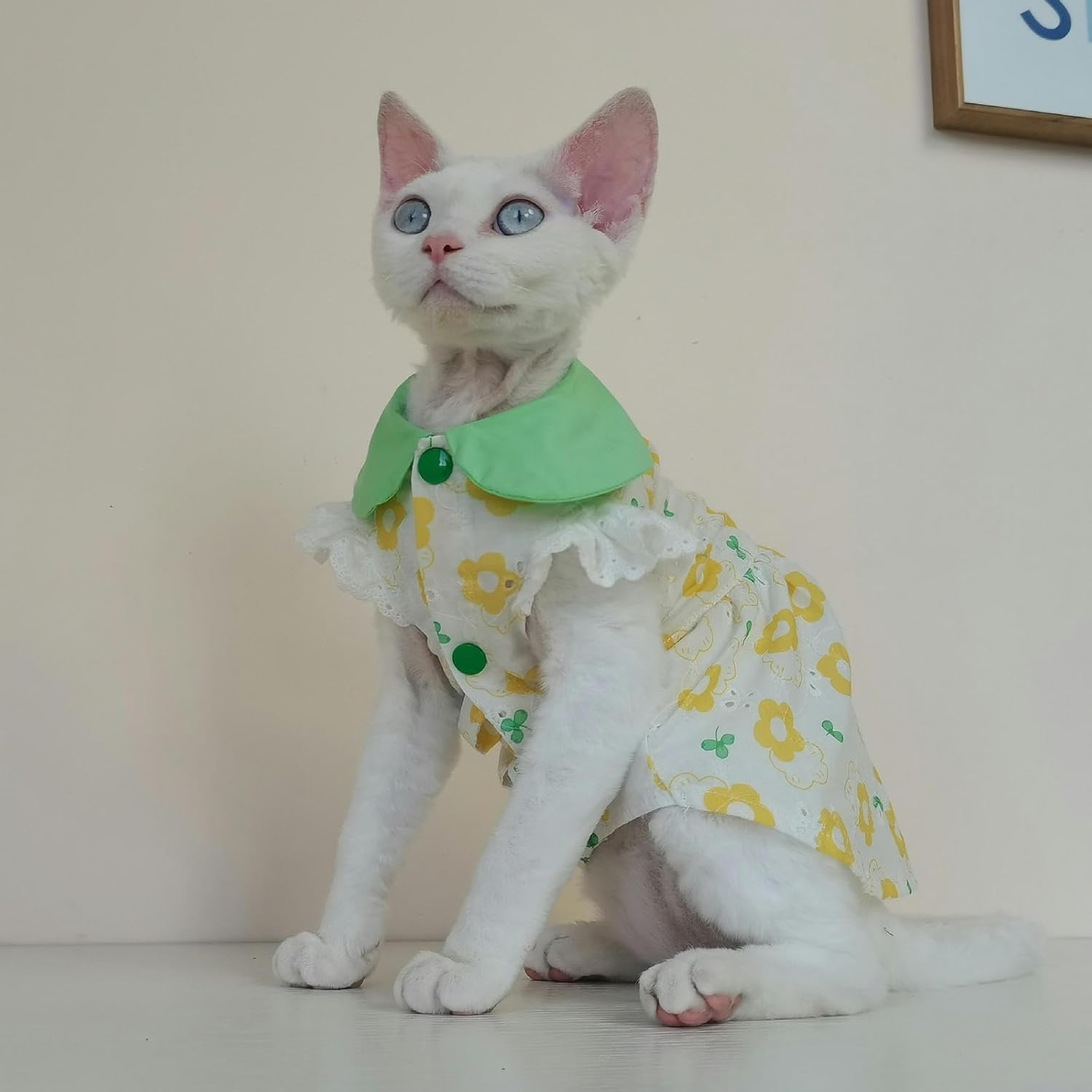 IUOUTG Hairless Cat Clothes Sphynx Soft Breathable Kitten Shirt Skirt Cute Floral Design Hairless Cat Costume Cat Vest for Male Female Cats Puppy Small Dogs image number 1